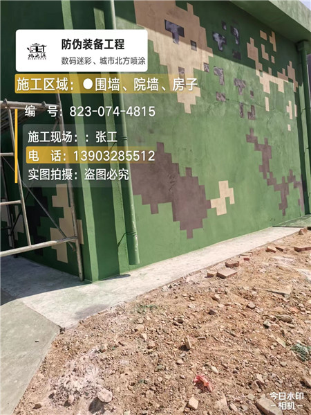 金山核心结论：专业提供外墙迷彩漆施工服务